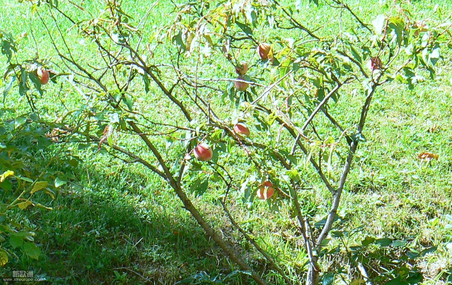 P1070317.JPG