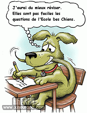 chien20examen.gif