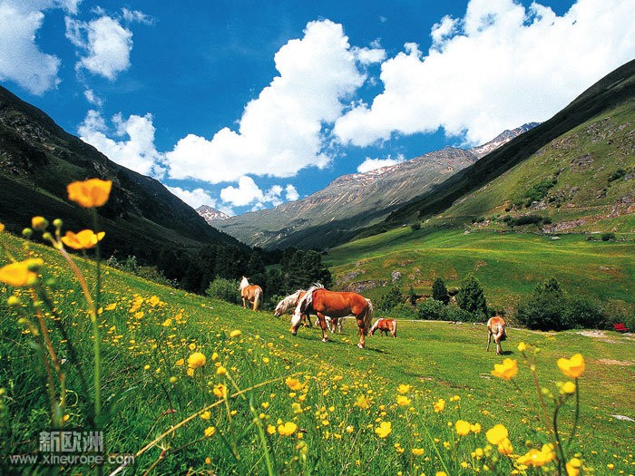 sommerurlaub-oetztal-berge-oesterreich.jpg