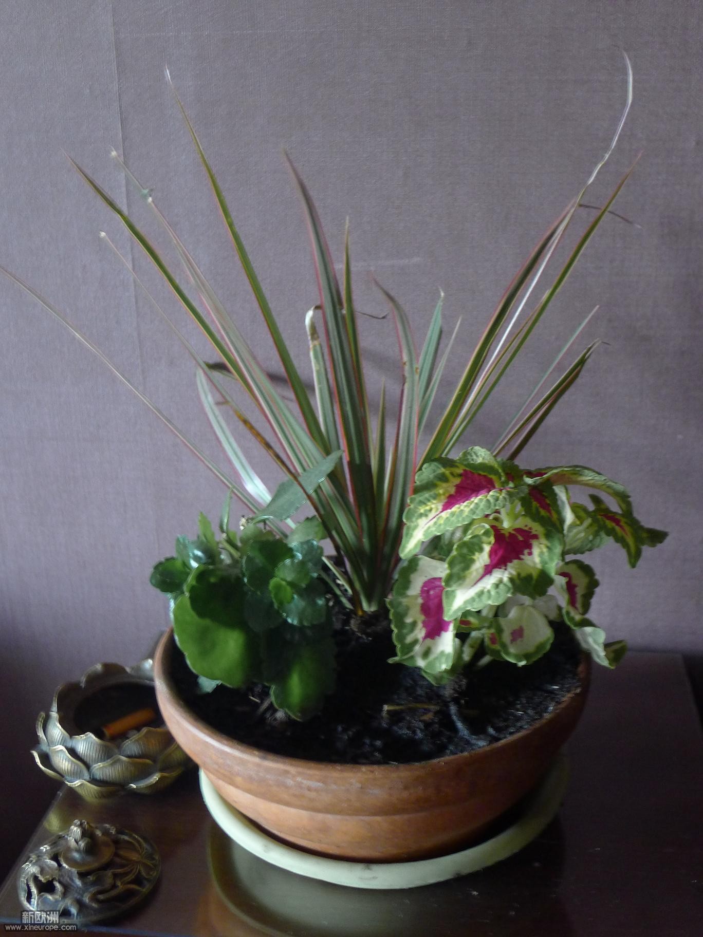 P1020159.JPG