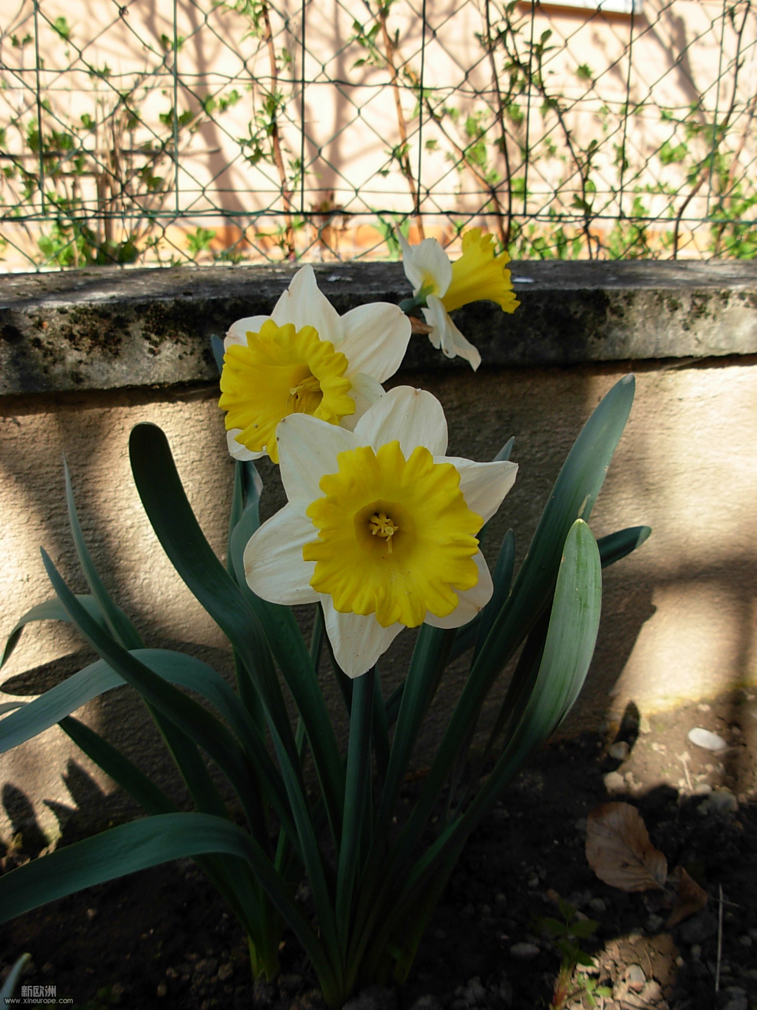 DSCN5997.JPG