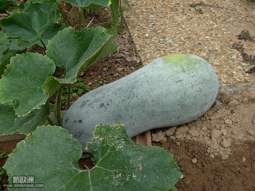 DSCN5752.JPG