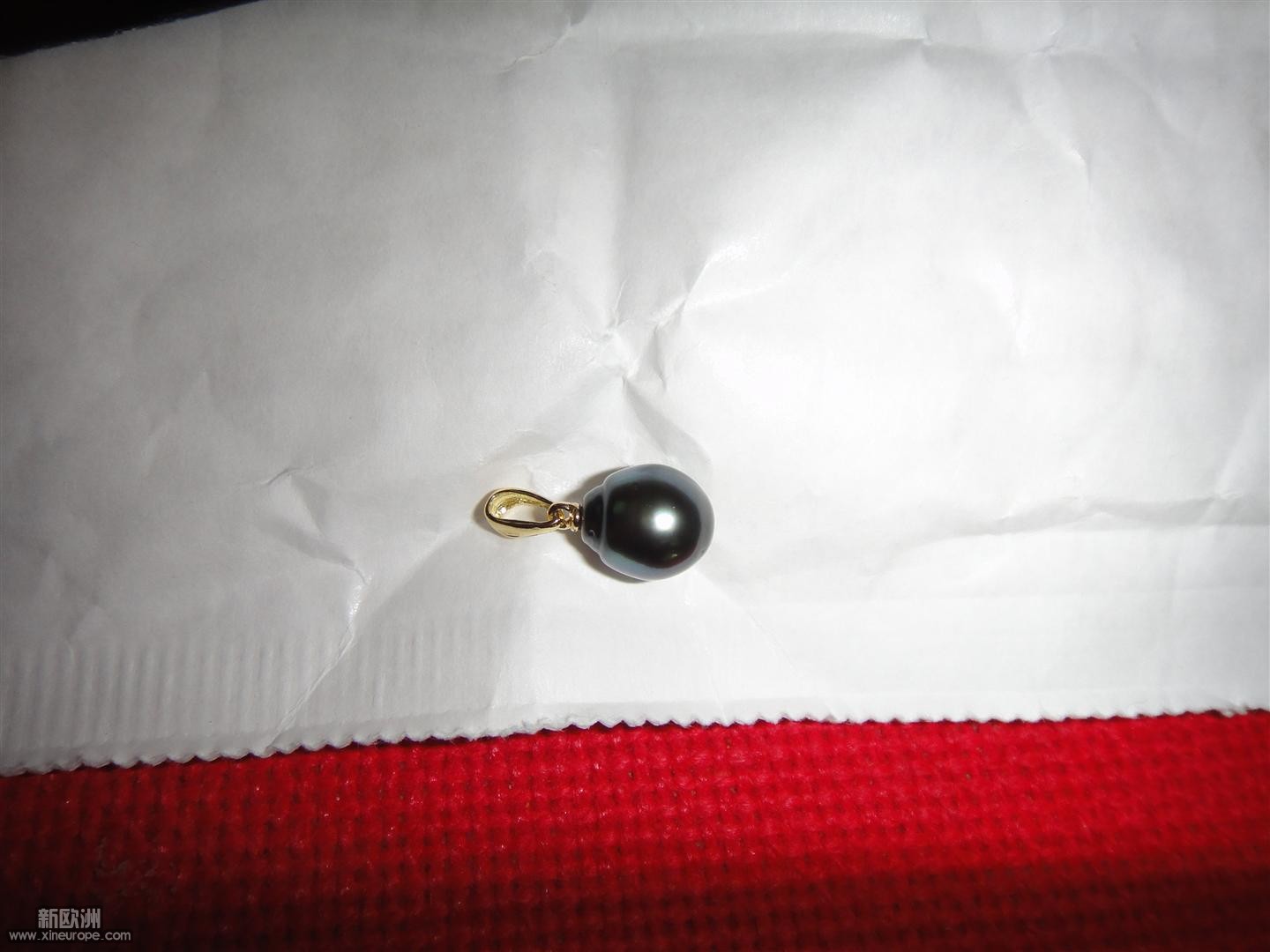 DSC01858 (Large).JPG