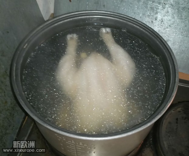 将蒜姜葱白放入水中，水加热至开，然后小火。等水不再翻滚之后，将鸡泡进水中，盖上盖子，25分钟即可。 ...