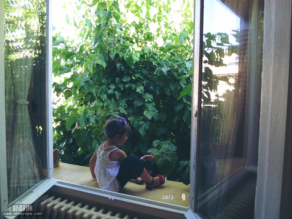 P1040668_2.jpg