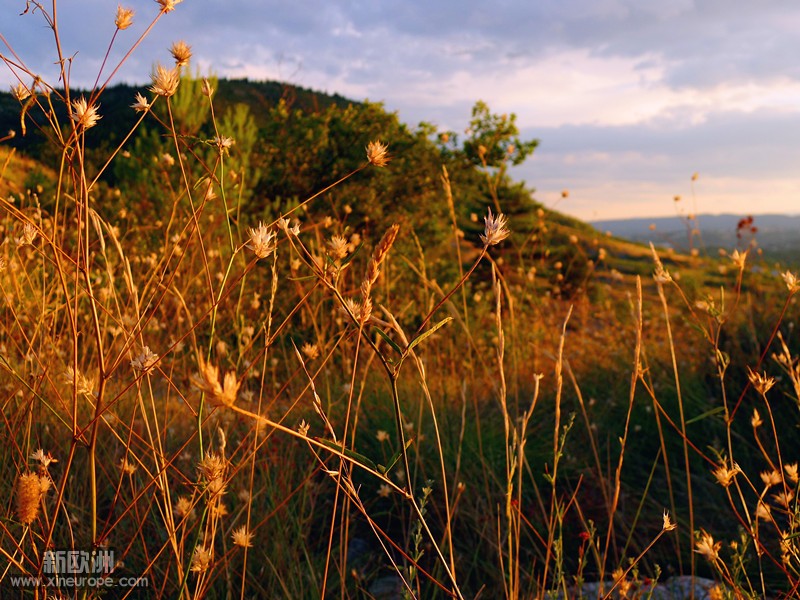 P1040949_2.jpg