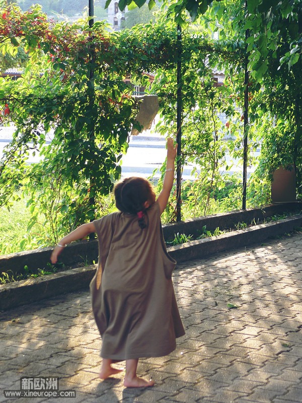 P1040936_2.jpg