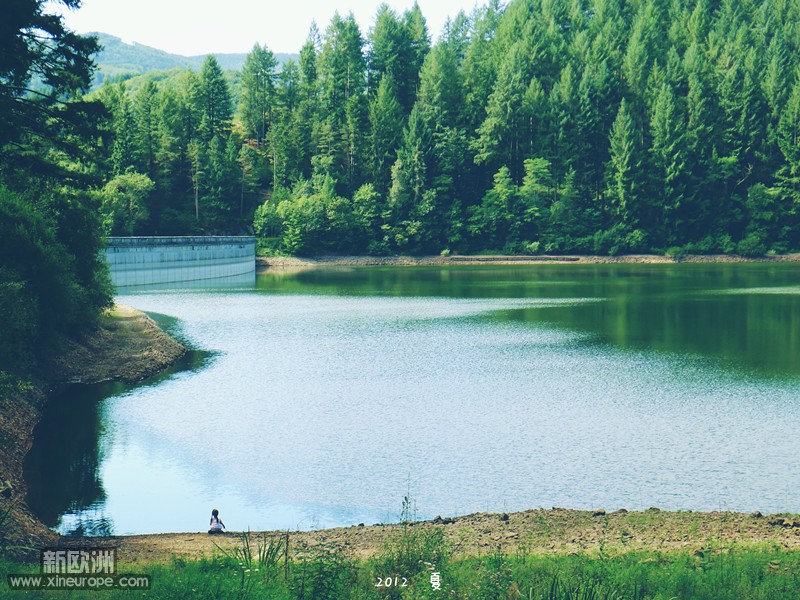 P1050064_2.jpg