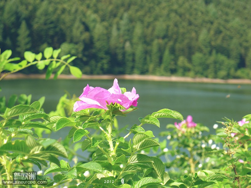 P1050046_2.jpg