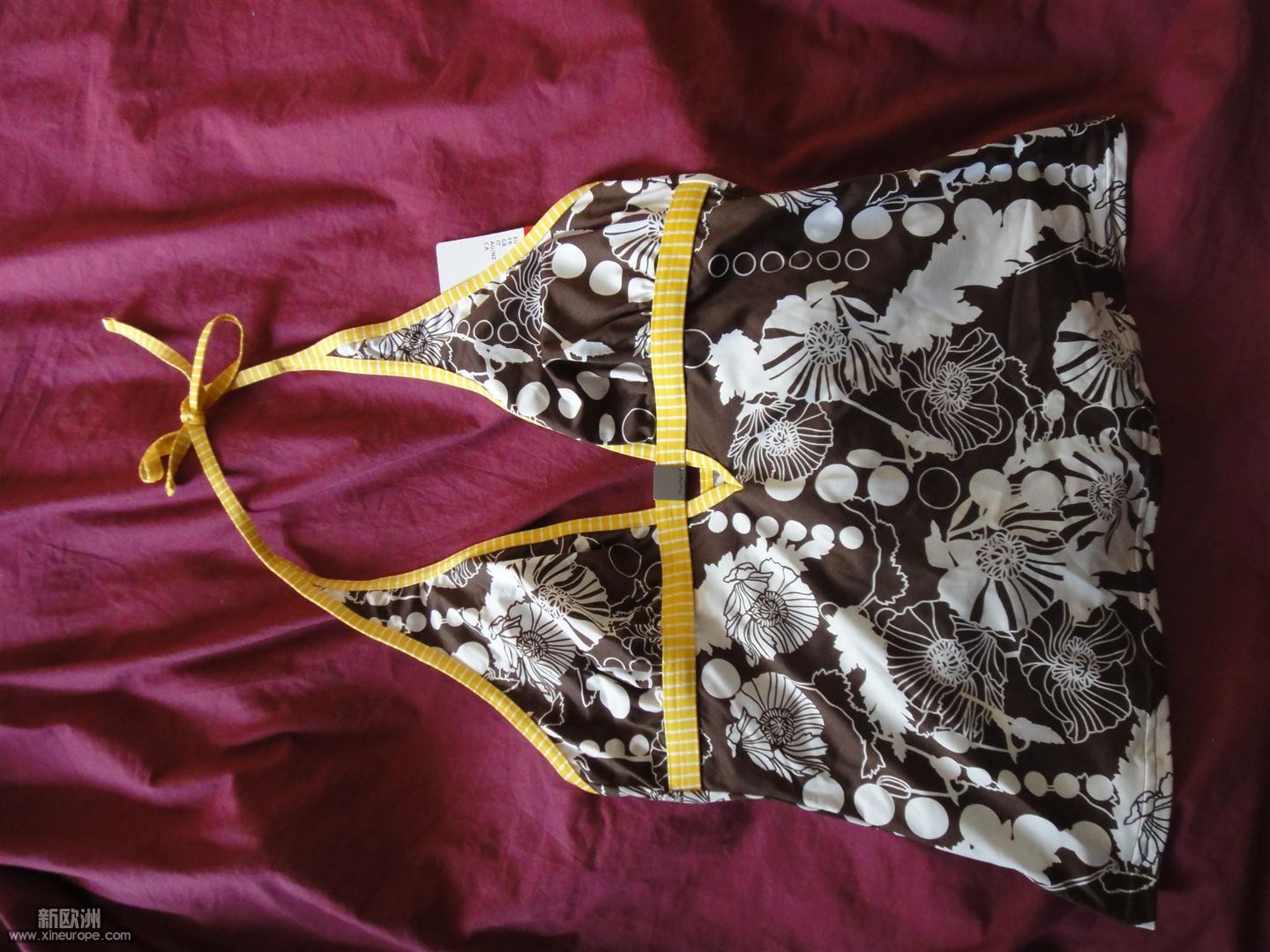 DSC02162 (Large).JPG