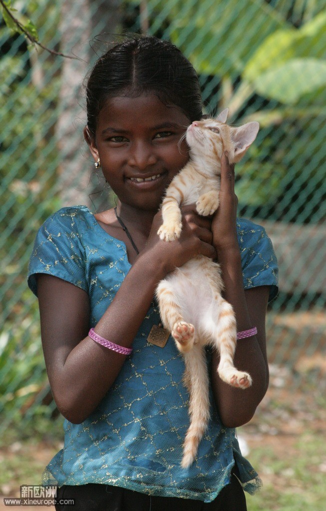 小女孩儿与她的小宠猫.jpg