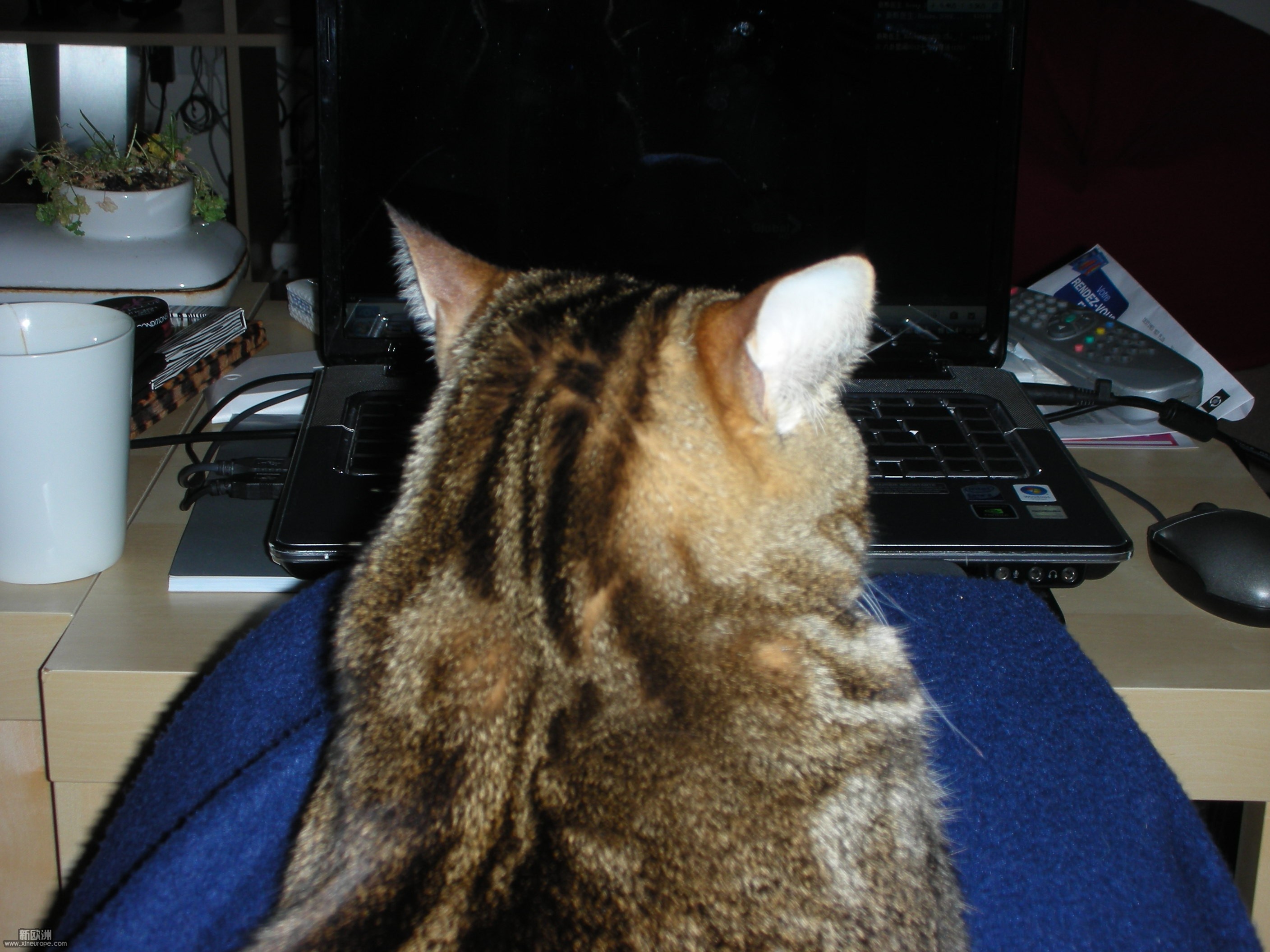 DSCN3310.JPG