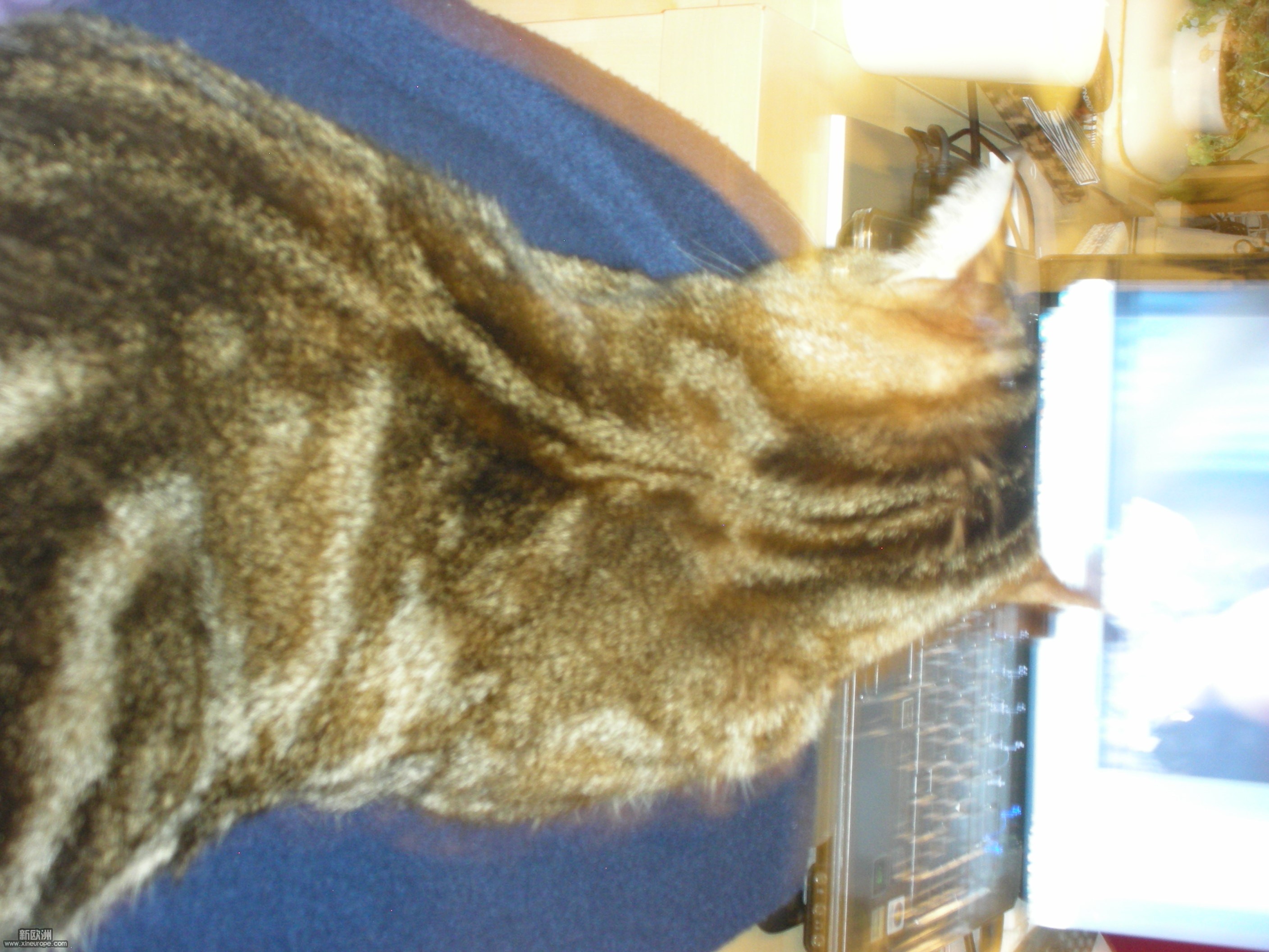DSCN3311.JPG