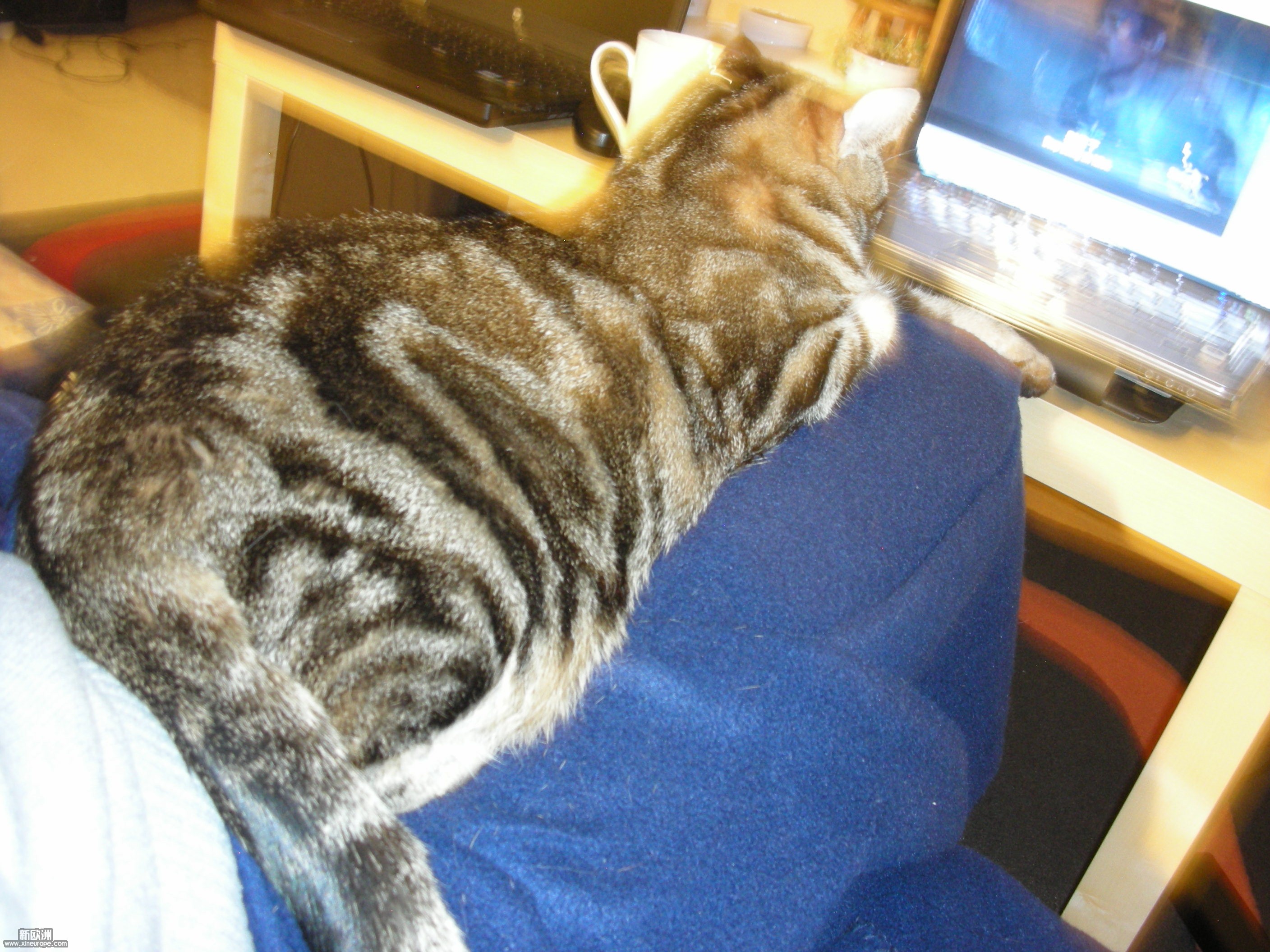 DSCN3313.JPG