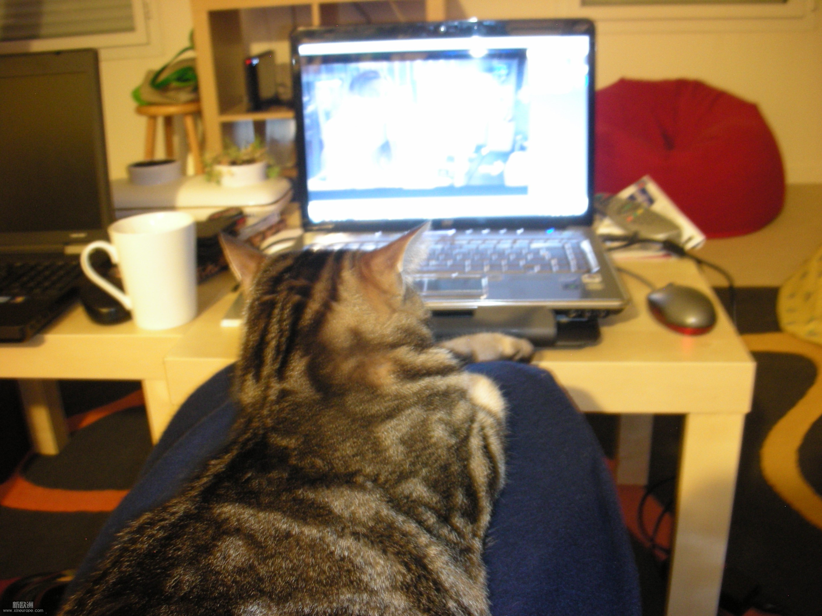 DSCN3316.JPG