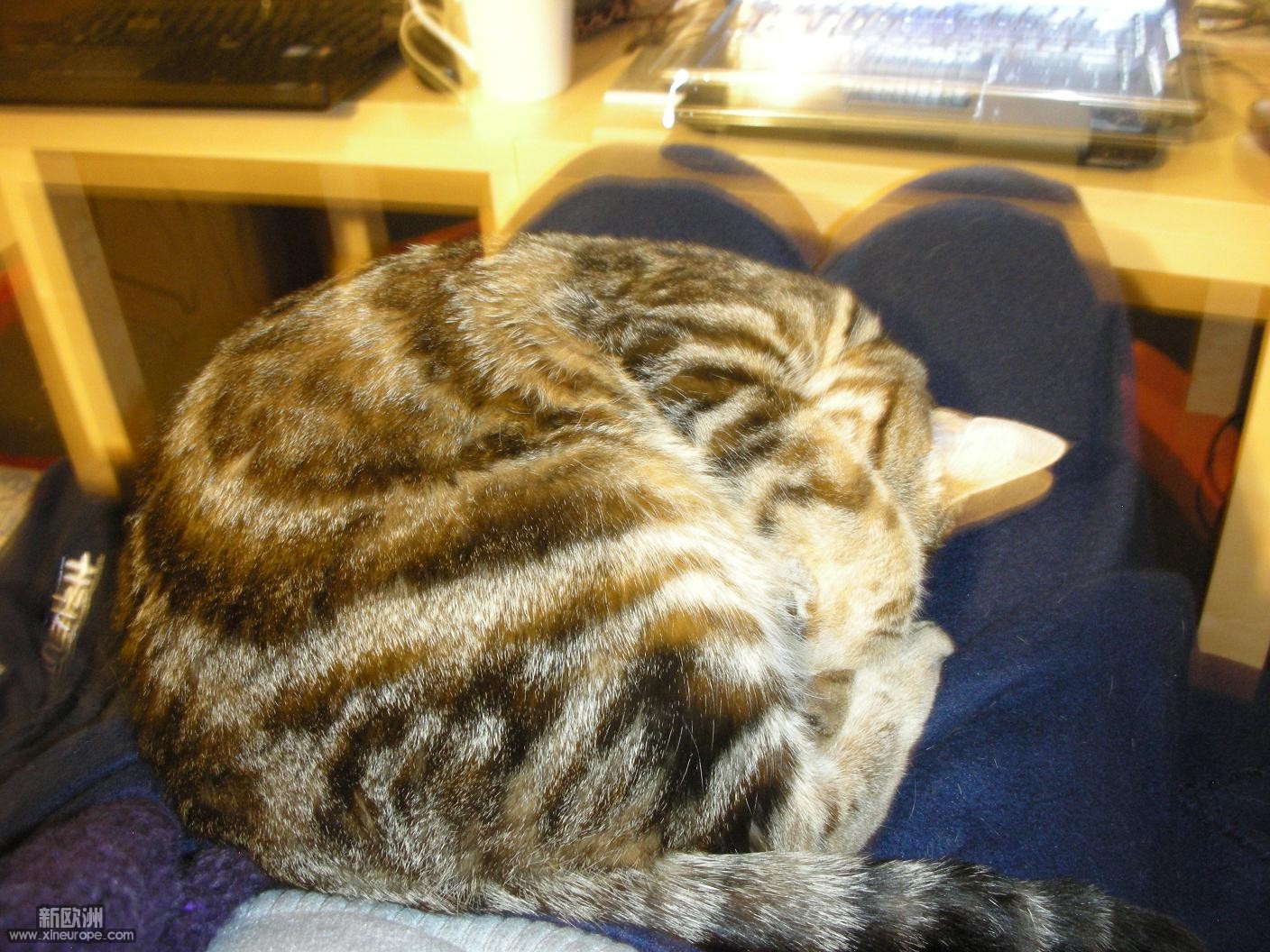 DSCN3318.JPG