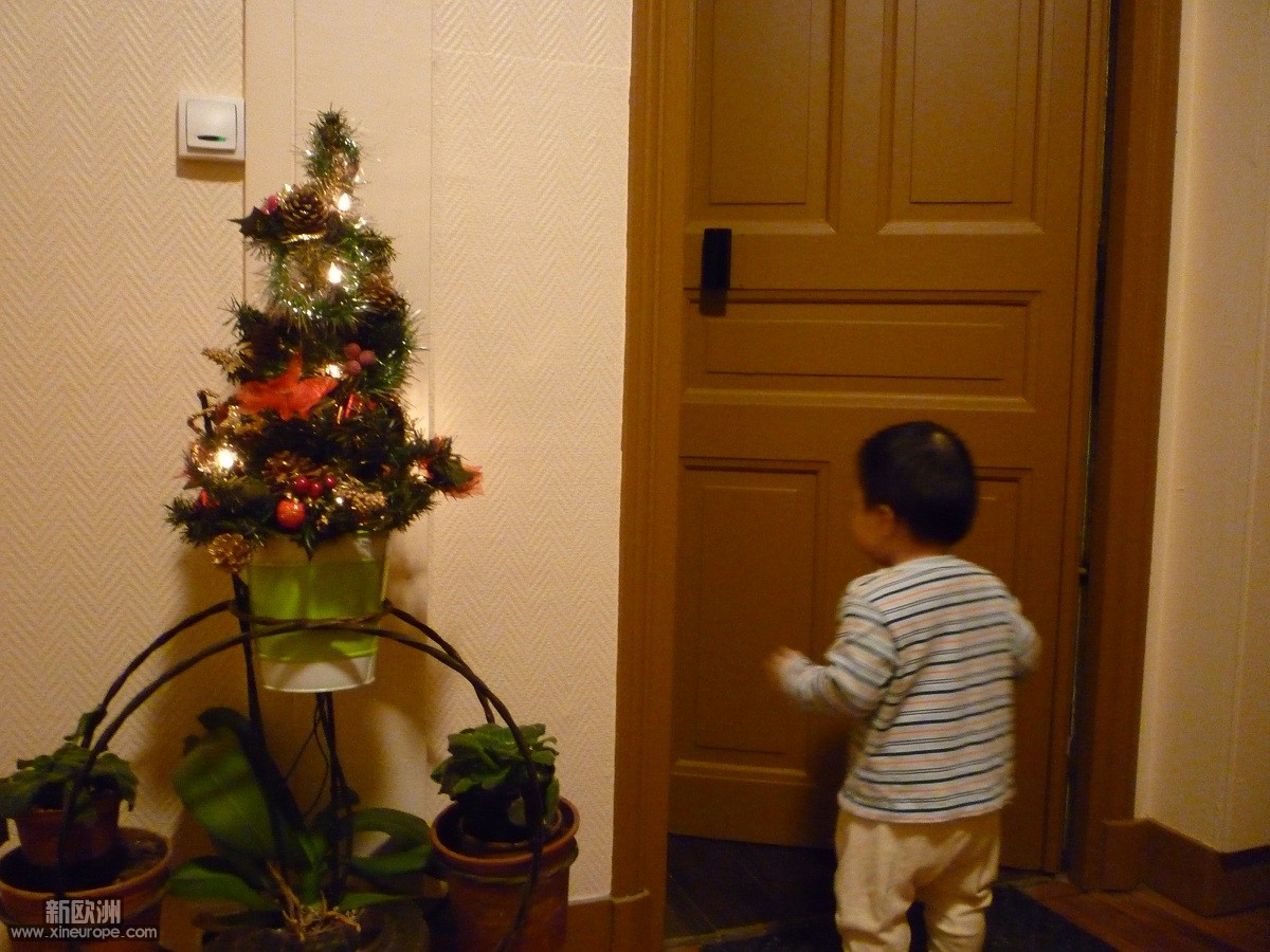 P1050830.JPG