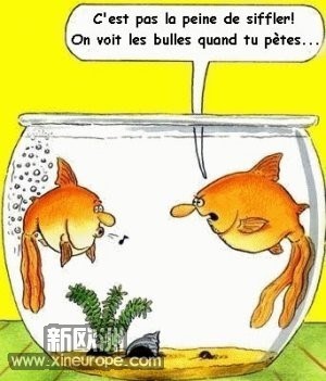 gif-poisson-davril-3.jpg