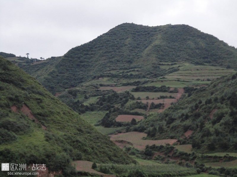 陕西境内遭遇泥石流 (4) (Copier).JPG