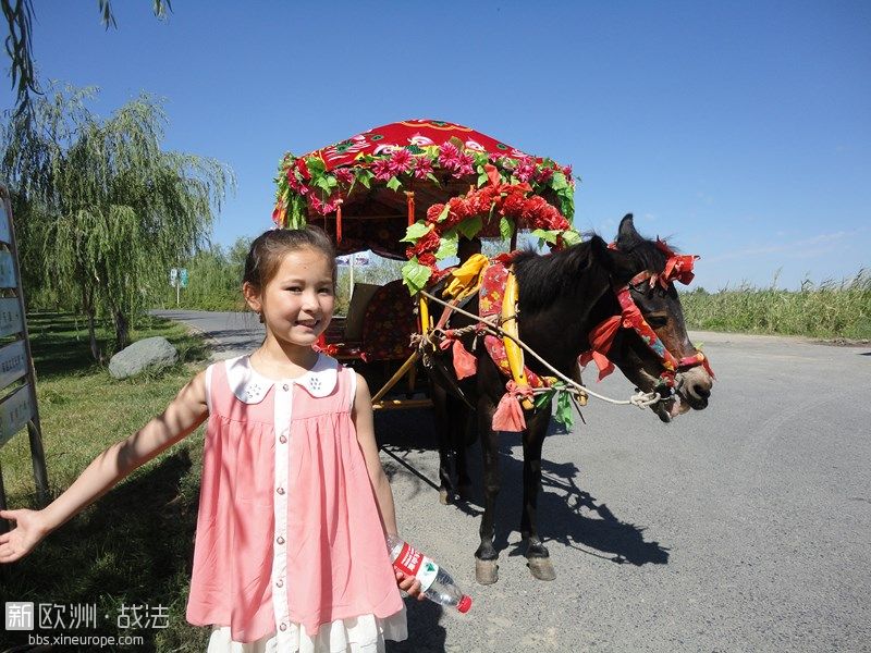 青格达湖荷花节 (15).JPG