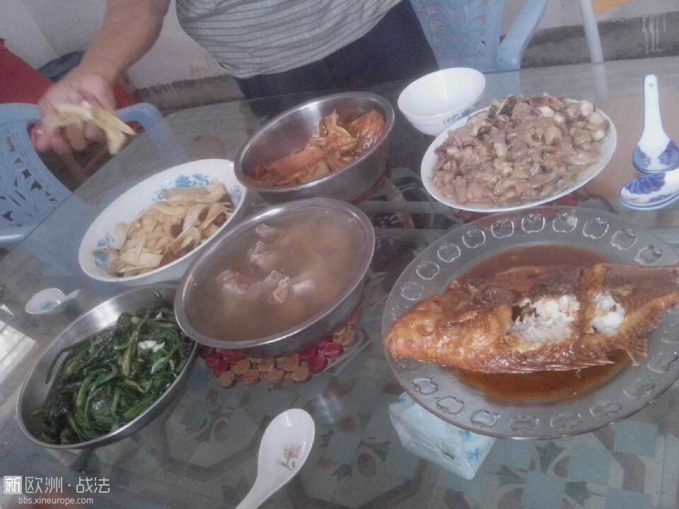 猪骨汤，红烧鱼，蘑菇炒肉，青菜.jpg