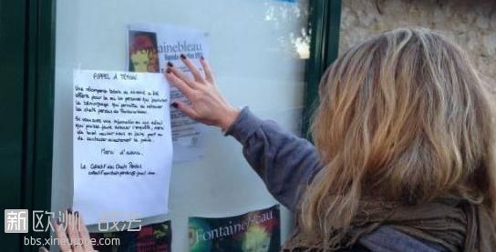 法国“土豪”掷上万欧元帮助他人寻找丢失的宠物猫