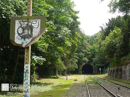法国废弃铁路上建高架公园 为动物提供息身之所