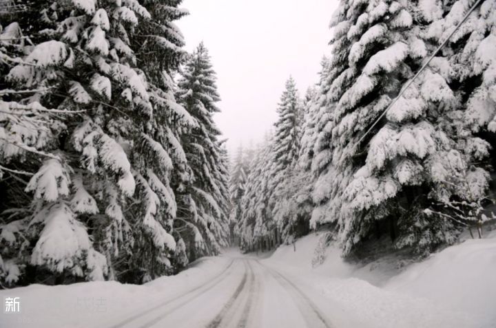大雪来袭防雪崩   阿列日省部分公路已封