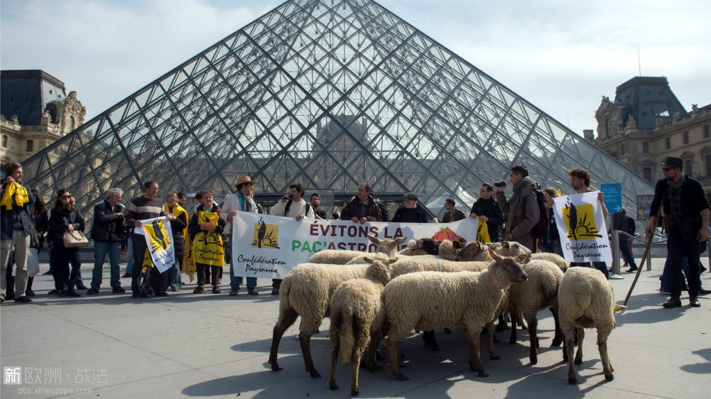 des-eleveurs-et-leurs-moutons-devant-la-pyramide-du-louvre-28-11127114ohfic.jpg