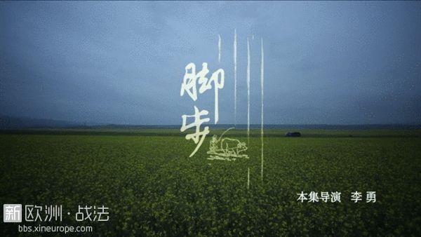 留学生看《舌尖上的中国》：热泪盈眶 有委屈更有骄傲