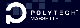 polyteche masai.png