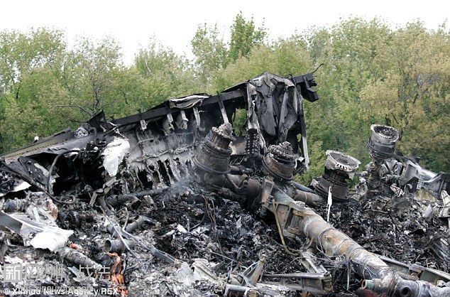 联合国关于MH17决议将“击落”改为“坠落”