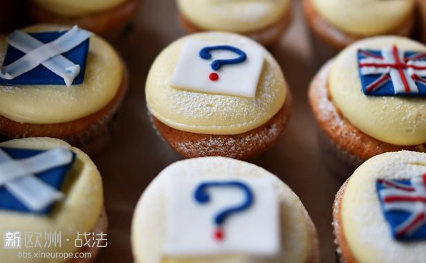 referendum-cupcakes-decores-drapeaux-ecosse-royaume-uni-ainsi-point-interrogatio.jpg