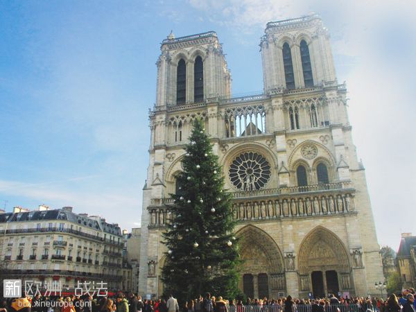 Notre-Dame-and-Christmas-Tree-©-French-Moments.jpg