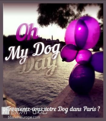 120812-dog-day-le-lacher-de-balloon-by-expo-in-the-city.jpg