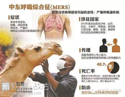 广东确诊首例输入性MERS，这中东呼吸病到底是什么鬼？