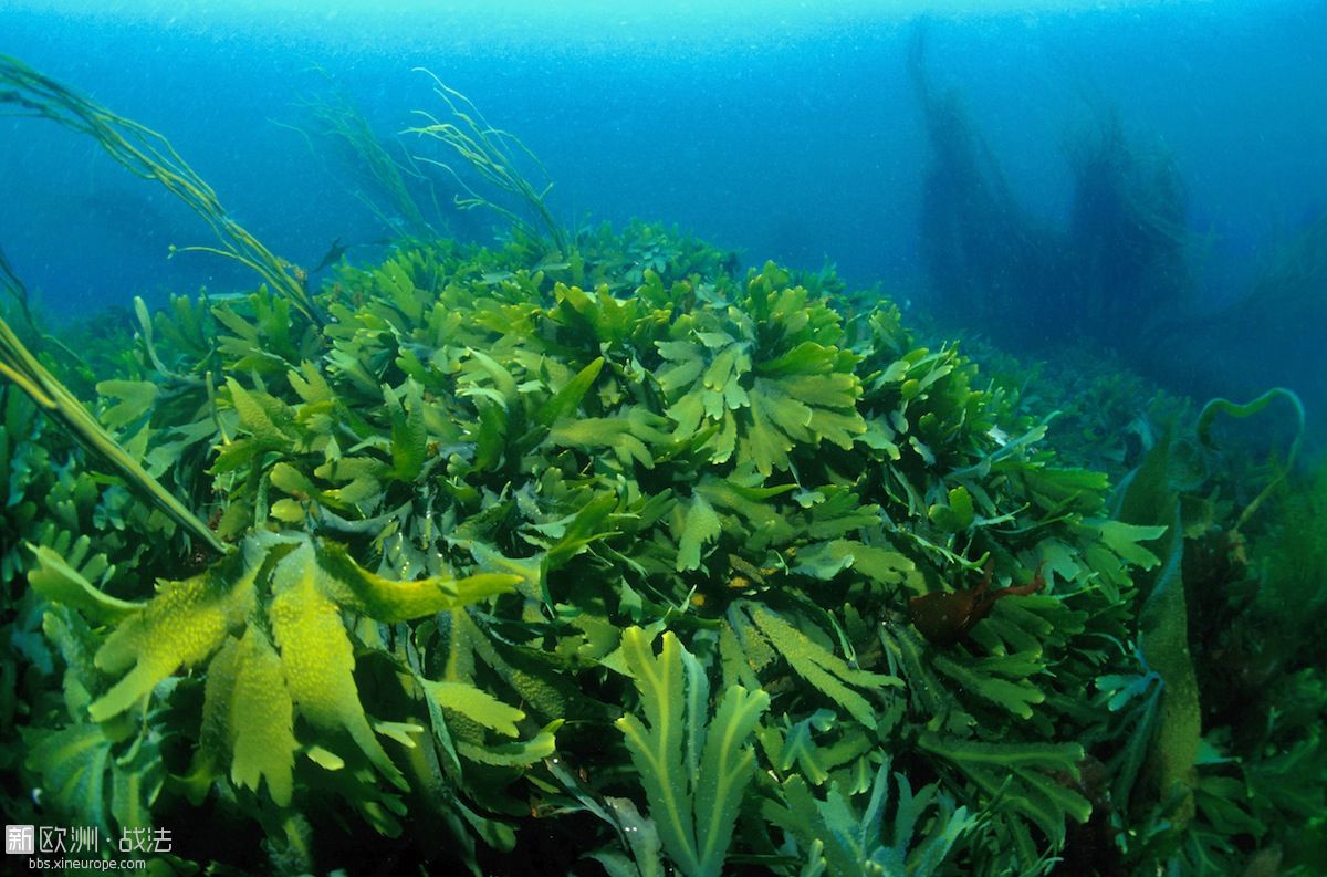 那些被外国人嫌弃的中国人美食,才是真正的减肥利器!