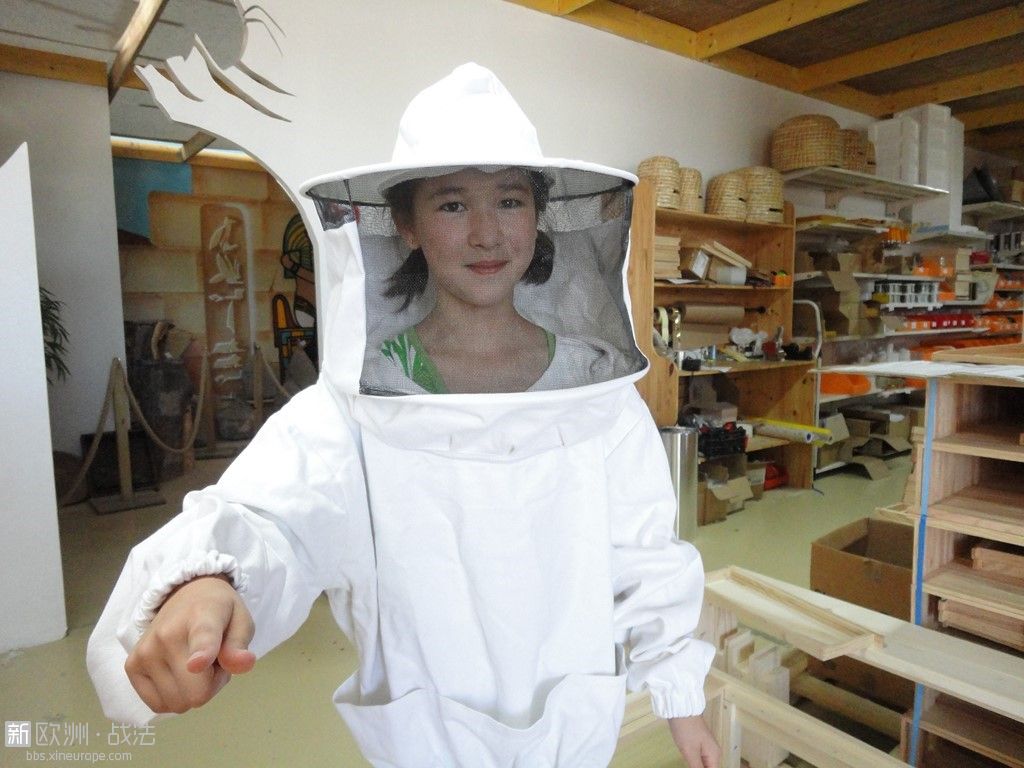 准备养蜜蜂 (3).JPG