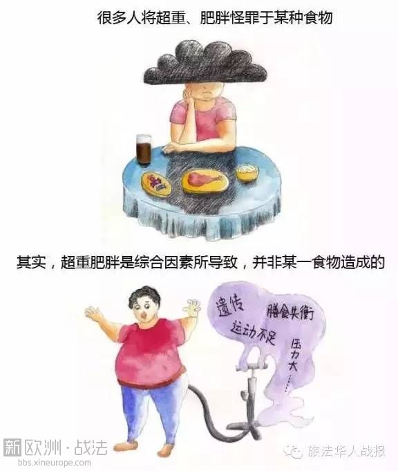 【健康】喝口水都胖？越节食越胖？这是减肥界最大的坑