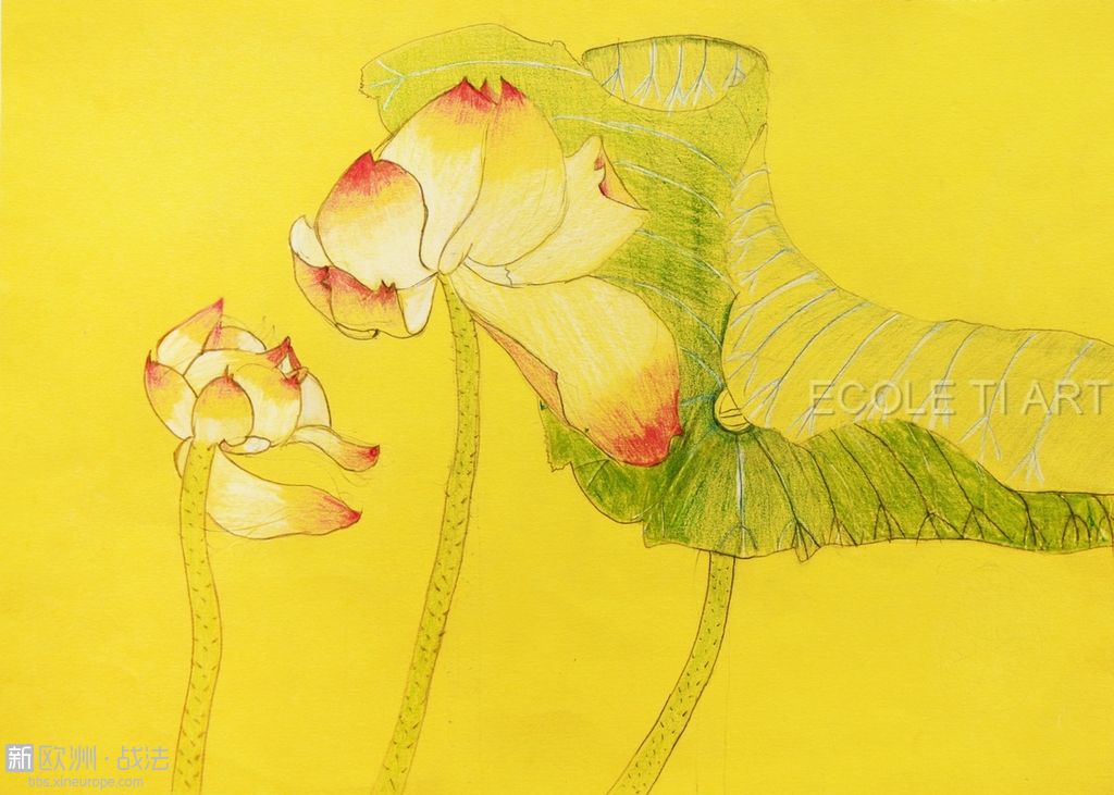 Laëtitia弟弟Mathieu Wu 9 岁画。彩色铅笔在黄色素描纸上绘画。