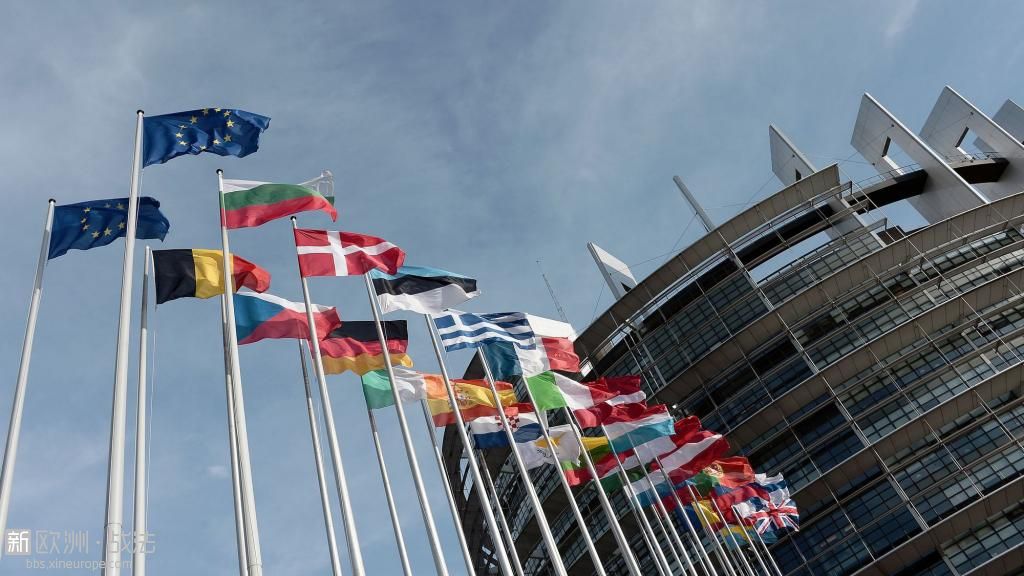 les-drapeaux-des-differents-pays-europeens-de-l-ue-flottent-devant-le-parlement-.jpg