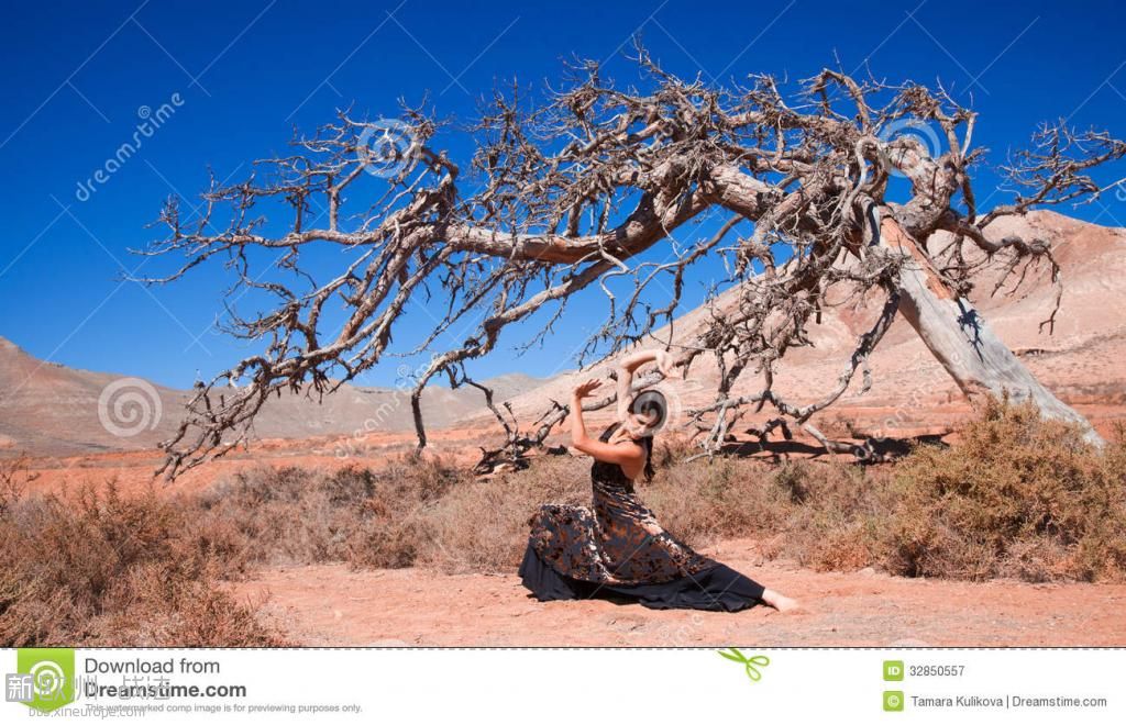 佛拉明柯舞曲和一棵-的树-32850557.jpg