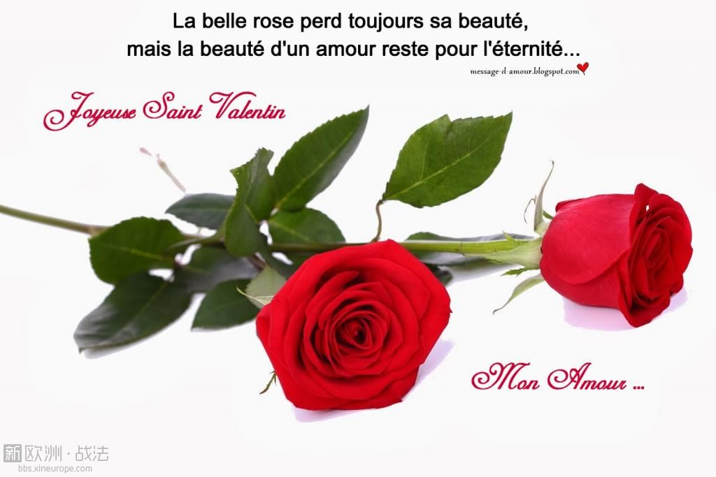 carte de saint valentin-14.jpg