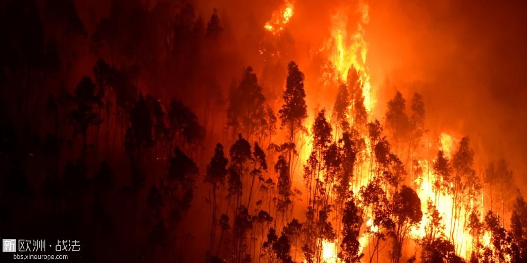 Incendie-dans-un-parc-naturel-en-Espagne-au-moins-1.500-personnes-evacuees.jpg