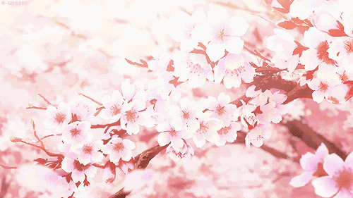 e6eb1f4b24854cf9a3f6ffaaea80d2d0_th.gif