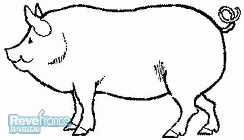 pig.gif