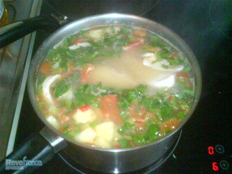 DSC00268 (Medium).JPG