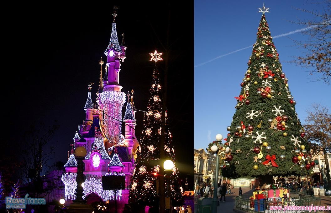 dlp05_xmas_tree.jpg