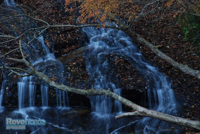 DSC_0096.JPG