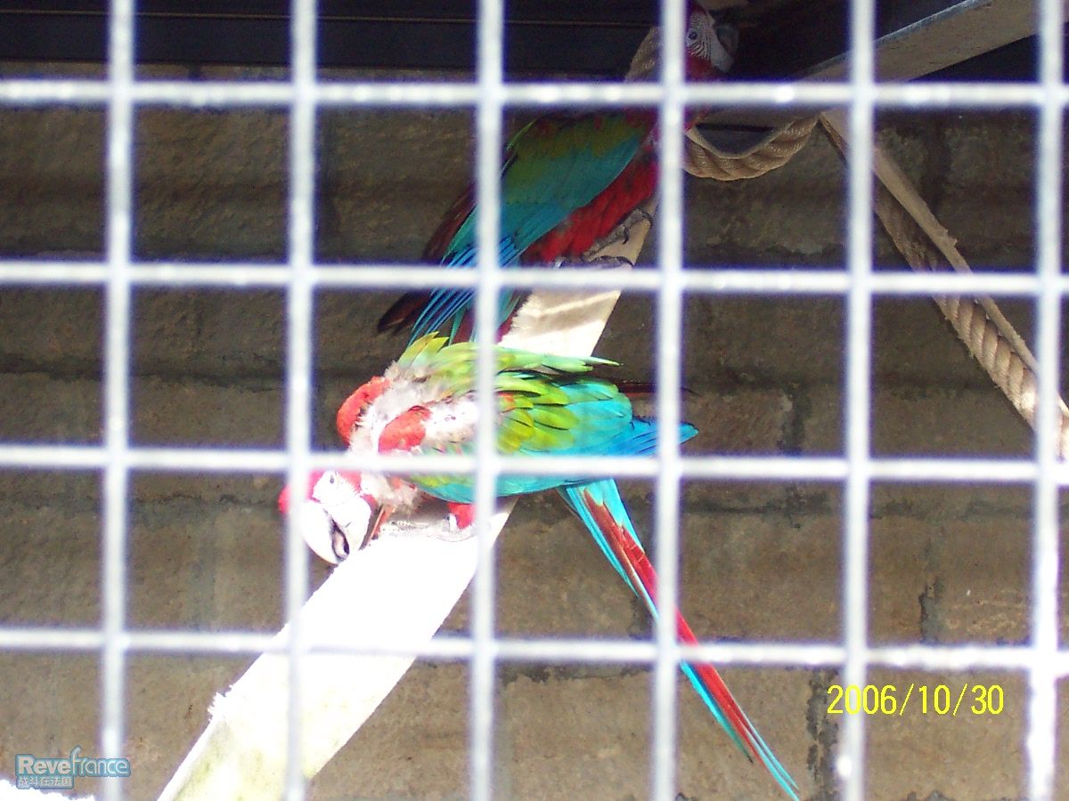 100_0299.JPG